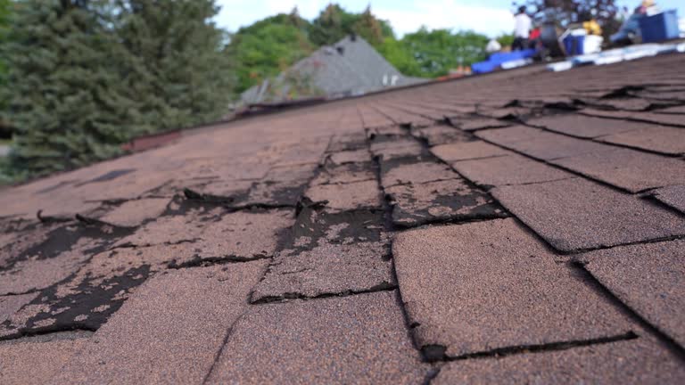 Best Sheet Metal Roofing  in Walbridge, OH