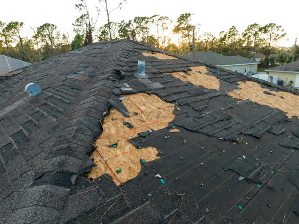Best Solar Panel Roofing Installation  in Walbridge, OH